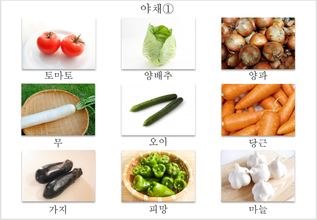 無料 絵 イラスト で覚える韓国語勉強 野菜の種類 Study情報館 中 韓 英